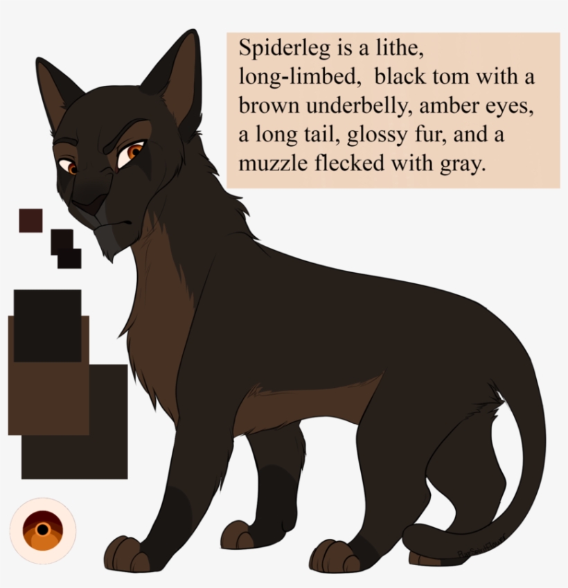 Spiderleg By Purespiritflower - Black Cat With Brown Underbelly, transparent png
