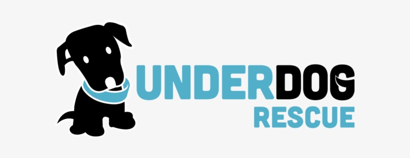 Donate - Underdog Rescue, transparent png