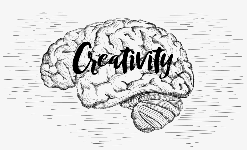 Black And White Stock Brain Imagination Central Nervous - Imagination Drawing, transparent png