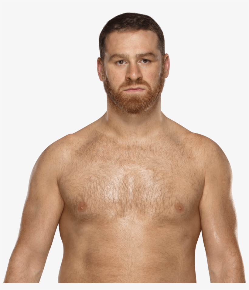 Shane Mcmahon, Sami Zayn - Sami Zayn United States Champion, transparent png