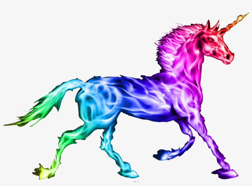 Report Abuse - Unicorn Design Neoprene Can Cooler Stubby Holder Beer, transparent png