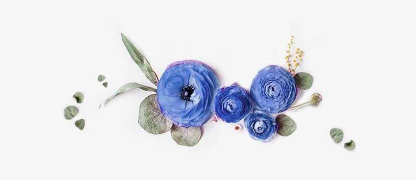 We Are New Zealand's Leading Online Market For Floristry - Grandparent Pregnancy Announcement, Pregnancy Announcement,, transparent png