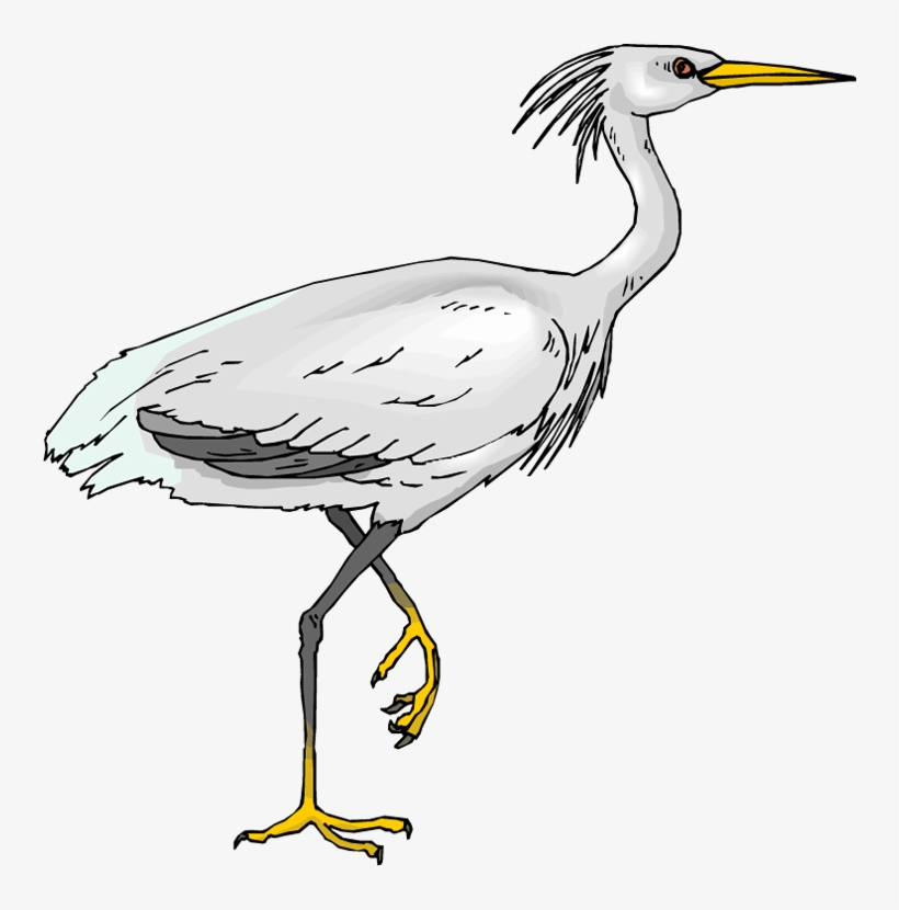 Picture Crane Bird Clipart - Clipart Heron, transparent png