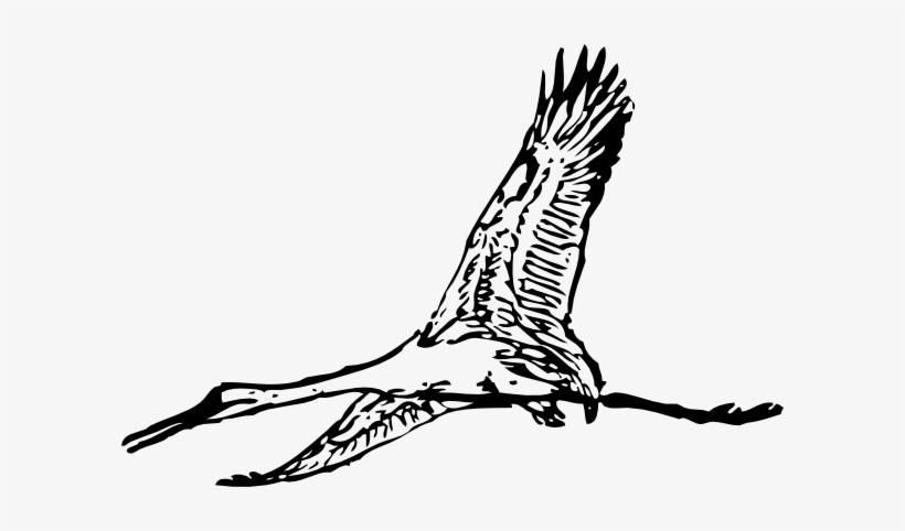 Crane Clipart Crane Bird - Clipart Paper Crane Flying, transparent png
