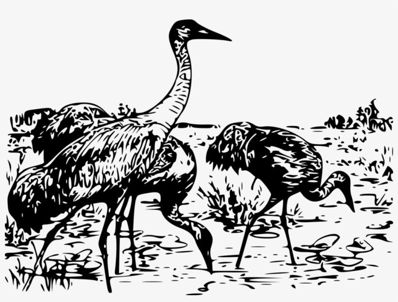 Whooping Crane Bird Sandhill Crane Computer Icons - Whooping Crane, transparent png