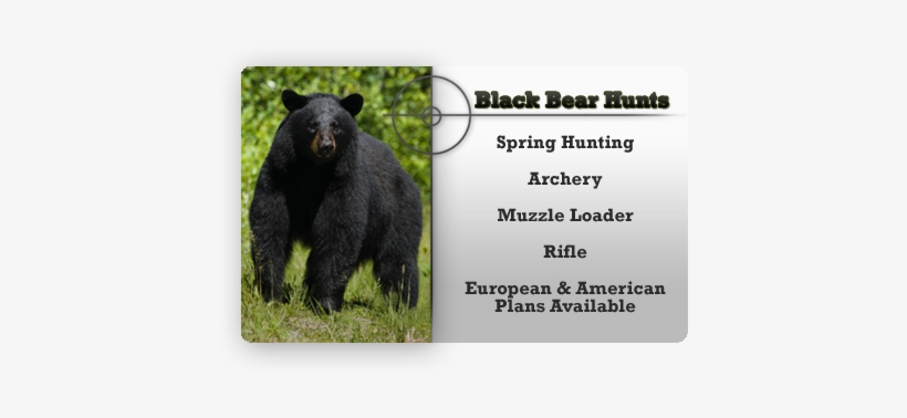 At Tippmann Outfitters, Black Powder And All Forms - Common Core, transparent png