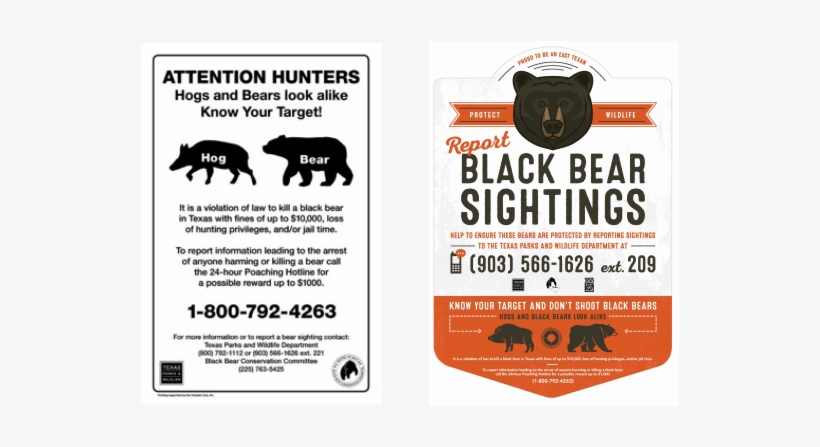 Encourage Others To Report Possible Bear Sightings - Bear In Texas, transparent png