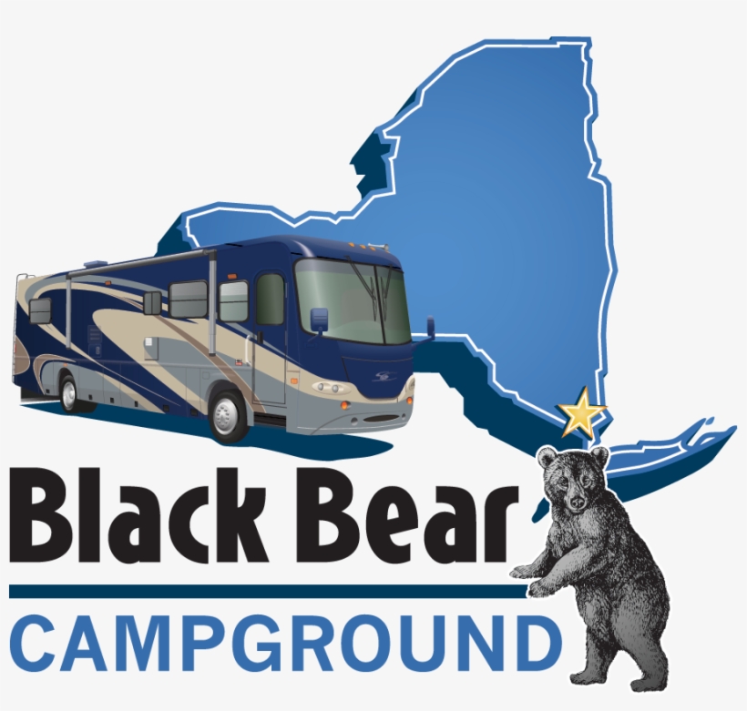Bear, transparent png