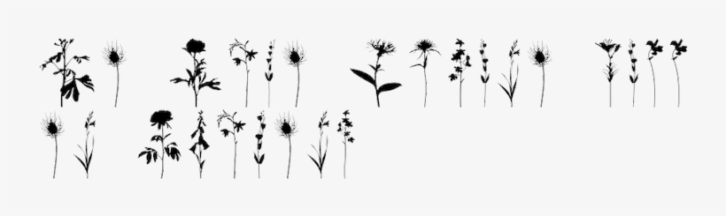 Foundries - Character Encoding, transparent png