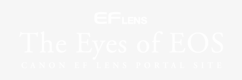 Tesco Logo White Transparent, transparent png