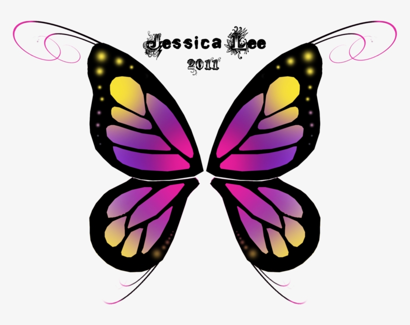 Stock Butterfly Wings By Daftopia-d424slm - Stock, transparent png
