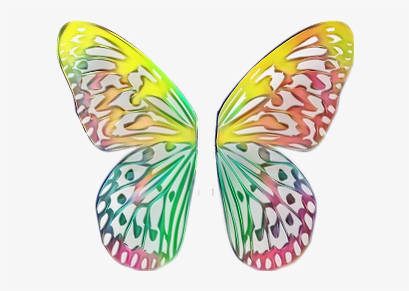 Ftewings Butterfly Wings Butterflywings Monarch Monarch - Butterfly Wings For Picsart, transparent png