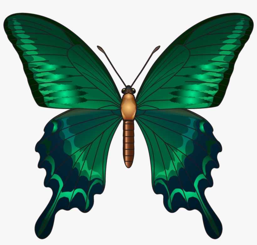 Largest Collection Of Free To Edit Butterfly Stickers, transparent png