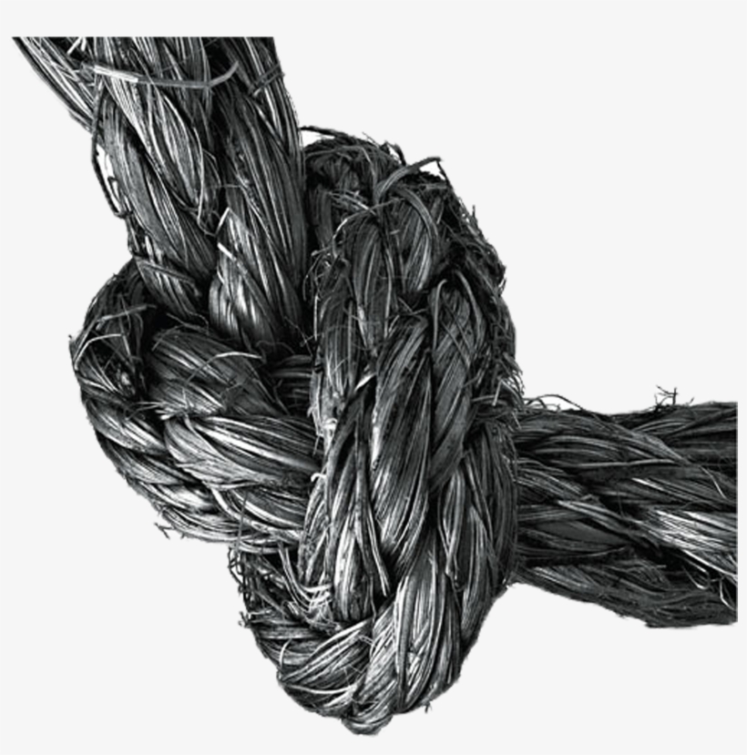 Rope Knot Painting - Drawing, transparent png