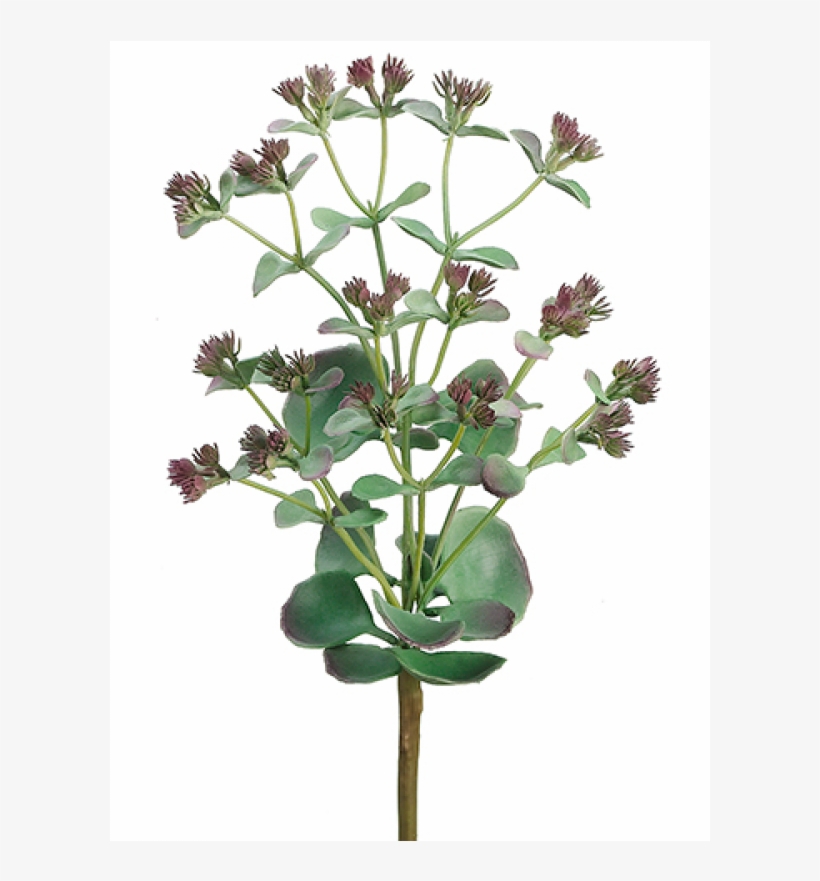 11" Desert Butterfly Plant X3 Green Mauve - Silk Flower Artificial Desert Butterfly Succulent Plant, transparent png