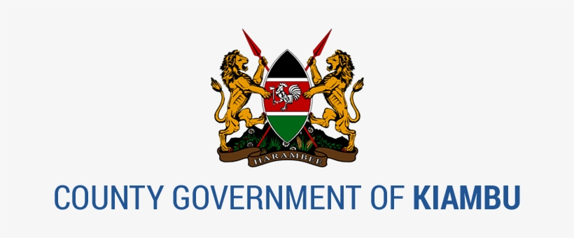 The Flash Episode - Bondo Technical Training Institute, transparent png