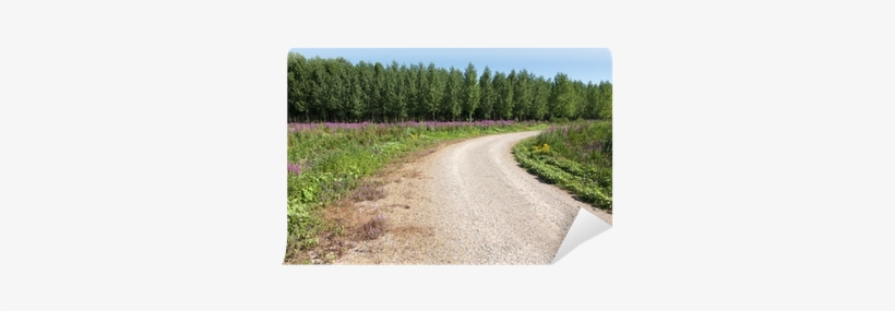 Curved Dirt Road With Flowers And Forest Wall Mural - Dirt Road, transparent png