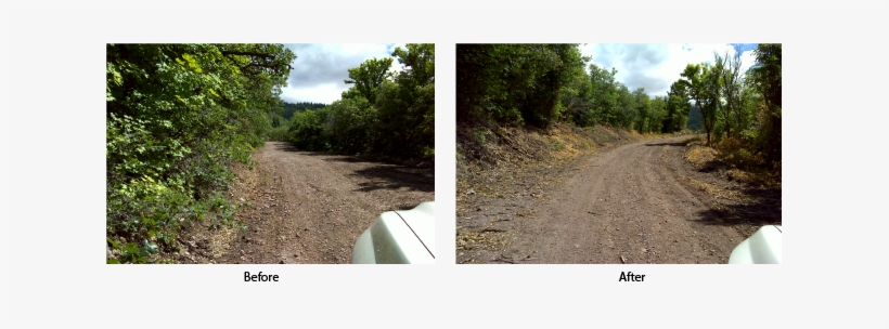 Two Images Showing Forest Road Before And After Brush - Cutting Forest Befor And After, transparent png