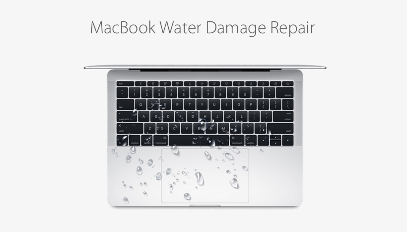 Macbook Liquid Damage Repair - Apple Macbook - Core I7 1,4 Ghz - 12 Zoll - 16 Gb Ram, transparent png