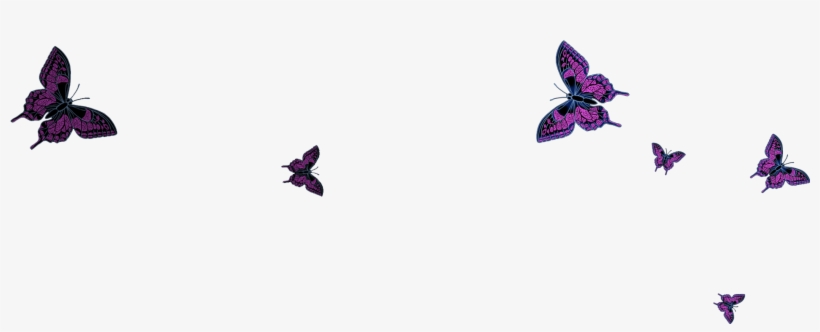 Project Starts 26 March - Papilio, transparent png