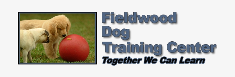 Call Today 717 576 - Lawn, transparent png