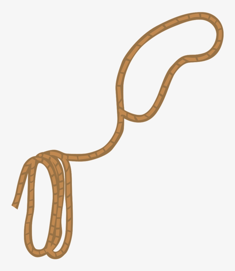 Download Lasso Lasso Clipart 894x894 Png Download Pngkit