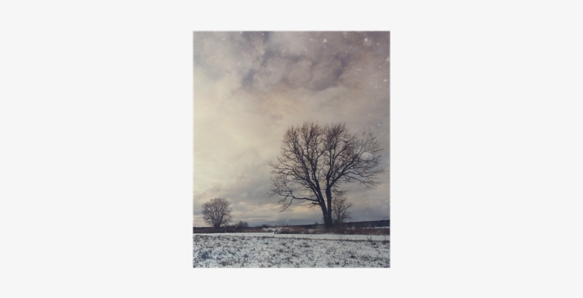 Lonely Tree In A Field Of Snow In December Poster - Trends Poster Clip Accessory, transparent png