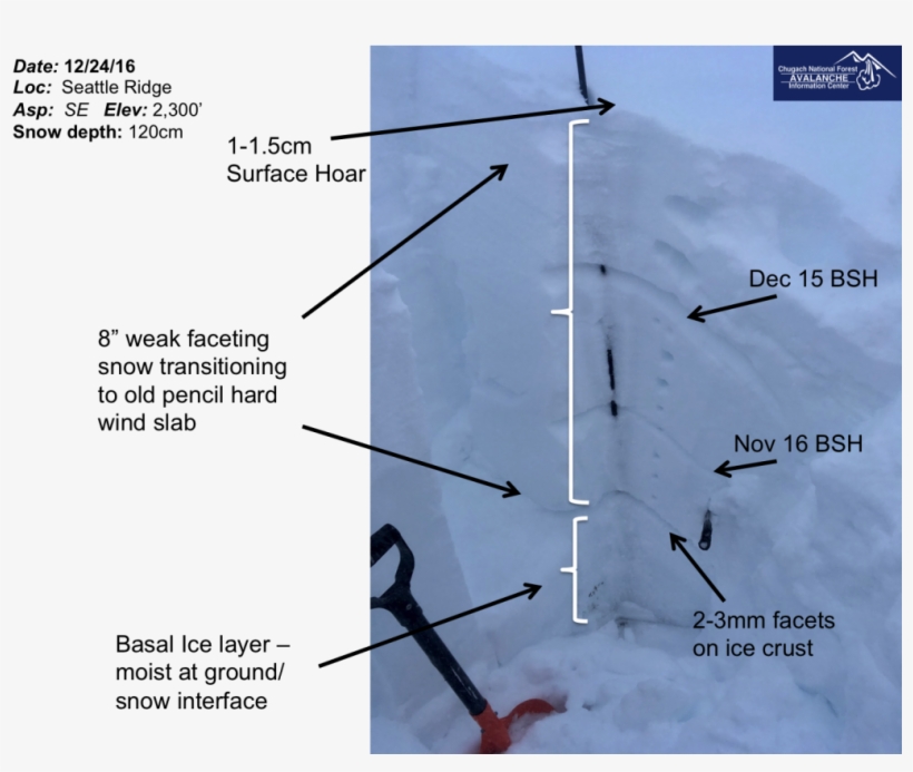 Pit Profile In A Deeper Portion Of Repeat Offender - Snow, transparent png
