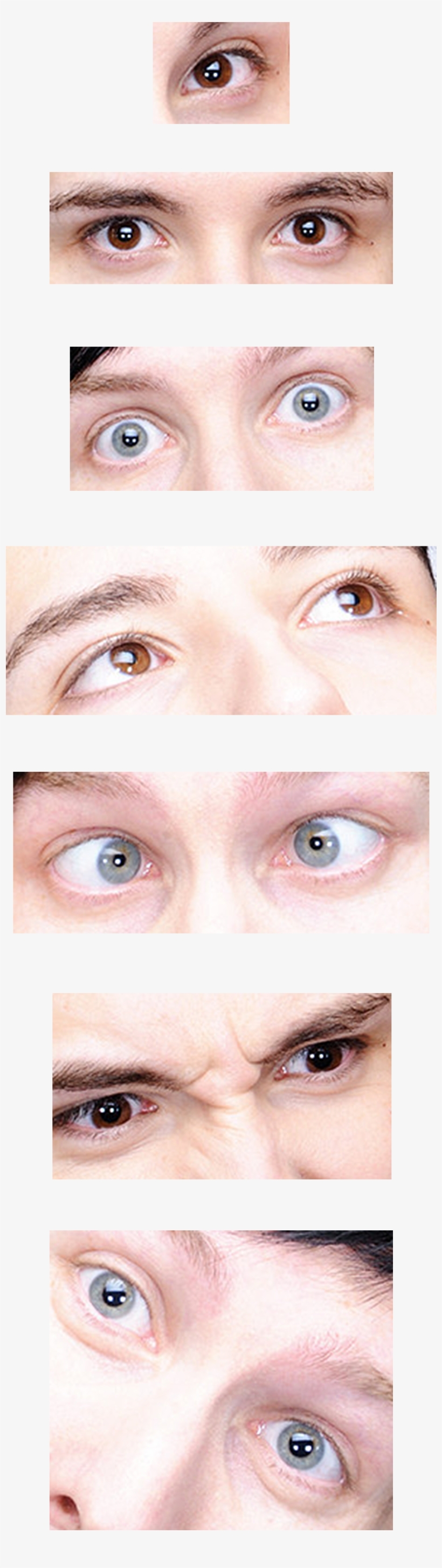 Image - Close-up, transparent png