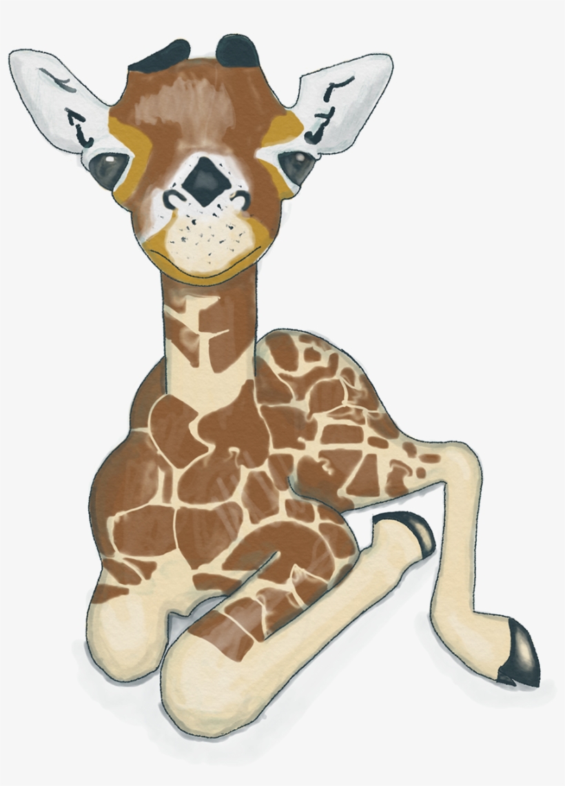 Baby Giraffe - Giraffidae, transparent png