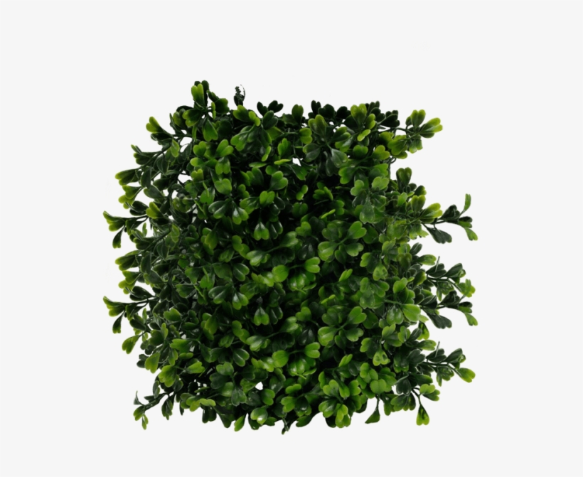 Free Png Bush Png Images Transparent - Bush Top View Png, transparent png