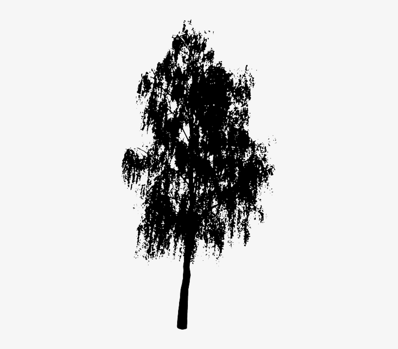Tree, Bush, Nature, Leaves, Trunk, Silhouette - Oak Tree Silhouette Png, transparent png