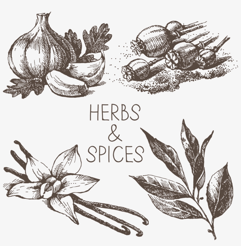 Graphic Black And White Drawing Royalty - Spices Black And White Png, transparent png