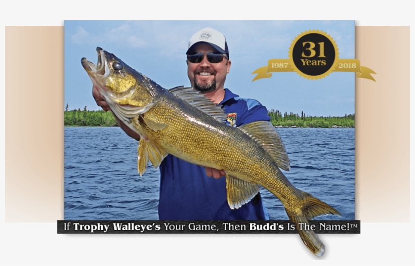 Homepage-headerphoto2 - Lake, transparent png