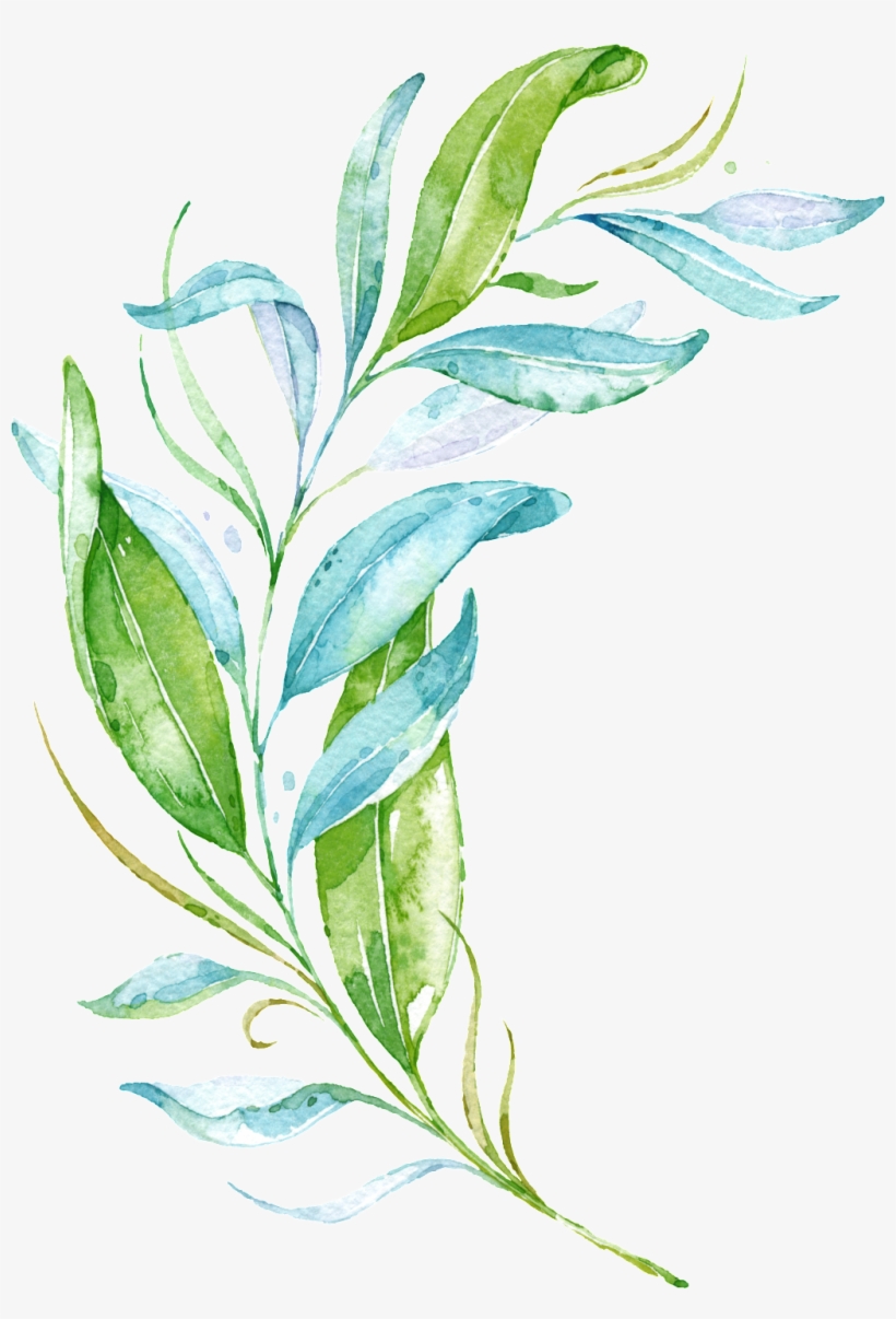 Green Fresh Watercolor Branches Transparent, transparent png