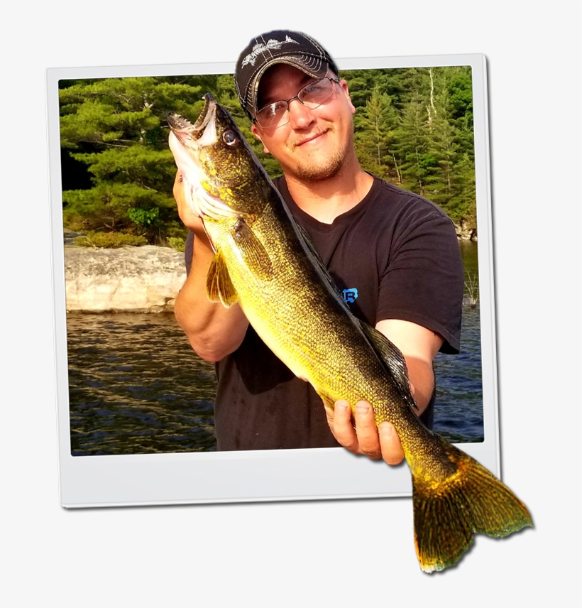 Welcome To Land O' Lakes Lodge - Walleye Fishing, transparent png