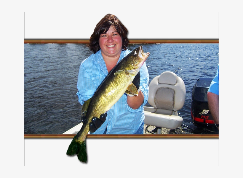Walleye In The River Average In The - Lunge, transparent png
