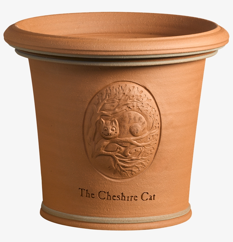 Cheshire Cat - Cup, transparent png