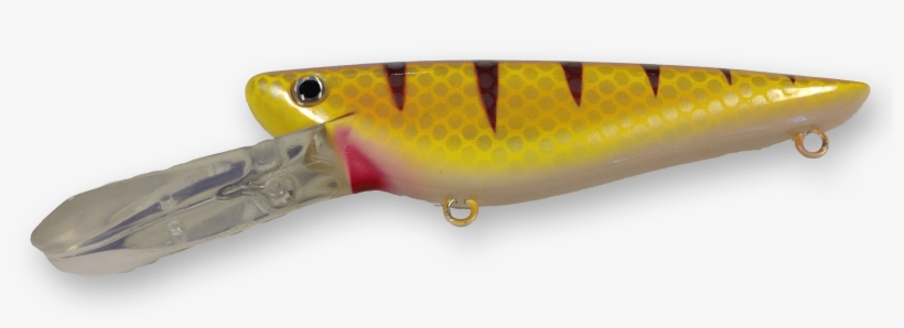 Walleye, transparent png