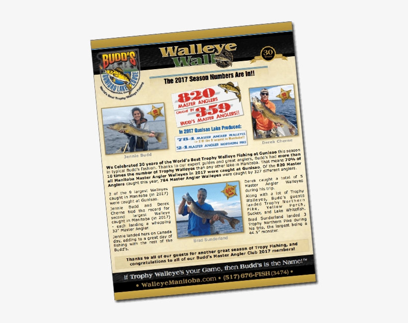 Newsletter - Lake, transparent png