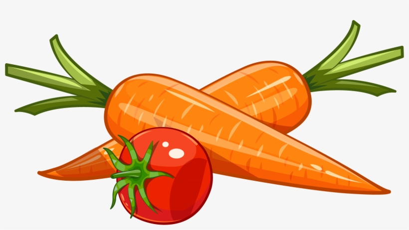 Drawing Vegetable Carrot - Carrot Illustration, transparent png