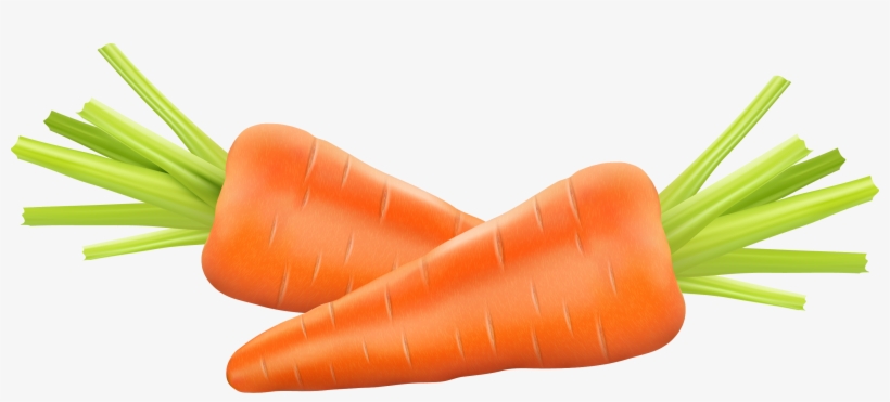 Carrot Photography Euclidean Vector Clip Art - Zanahoria Vector Png, transparent png