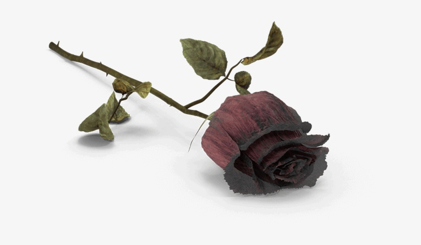 Lancaster Wrongful Attorneys Pa - Death Png, transparent png