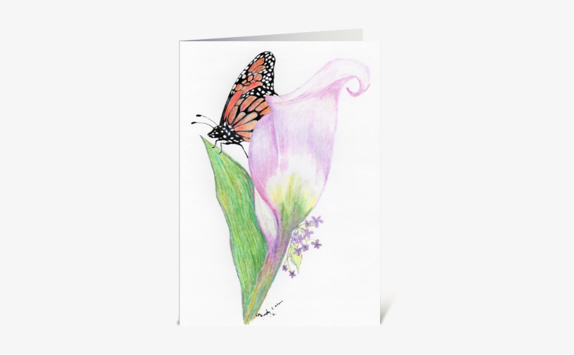 Butterfly And Lilly Greeting Card - Iris, transparent png