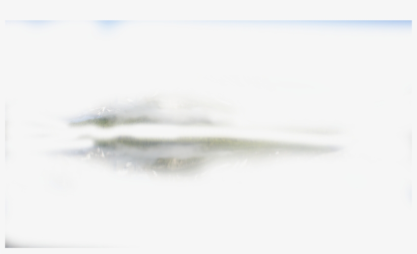 Mist - Macro Photography, transparent png