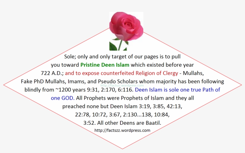 Humanity Was One Umma But When Community Started2expand - Garden Roses, transparent png
