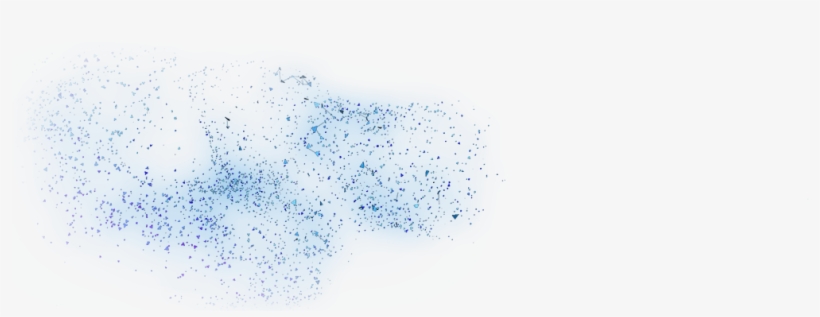 249 - Bird Migration, transparent png