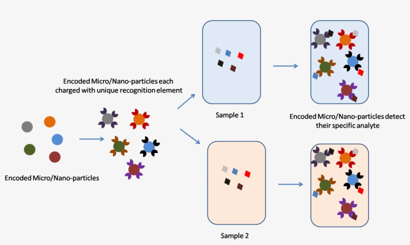Luminex Optically Encodes - Diagram, transparent png