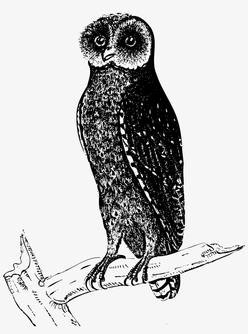 Big Image - Phodilus Badius: Lined Notebook Professionally Designed,, transparent png