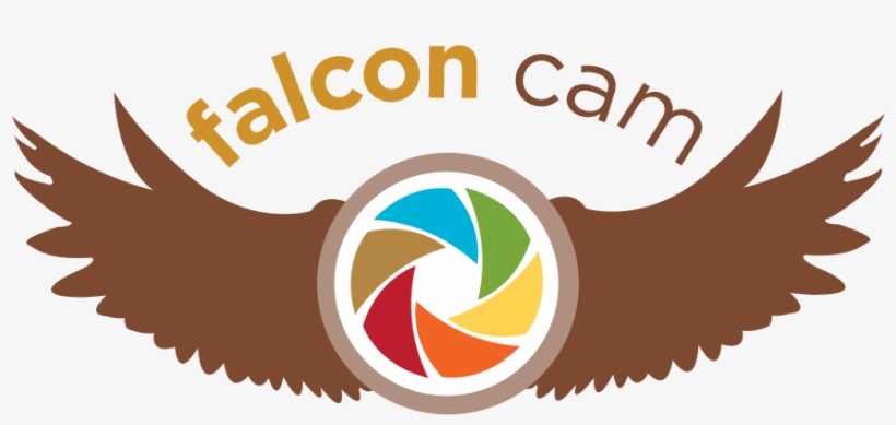 Dayton's Favorite Falcons - Graphic Design, transparent png